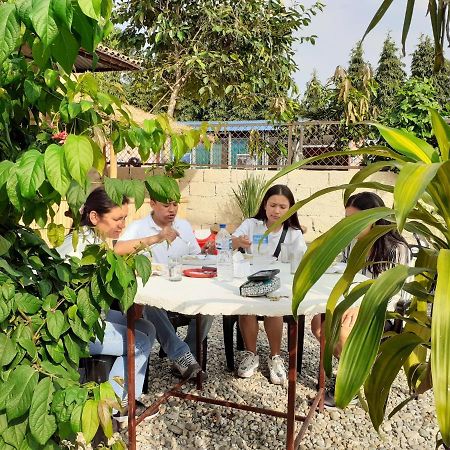 Hotel Tiger Tops Sauraha Eksteriør bilde