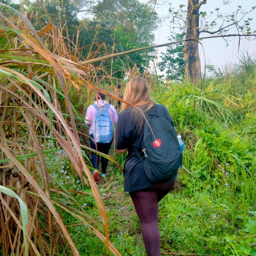 Hotel Tiger Tops Sauraha Eksteriør bilde