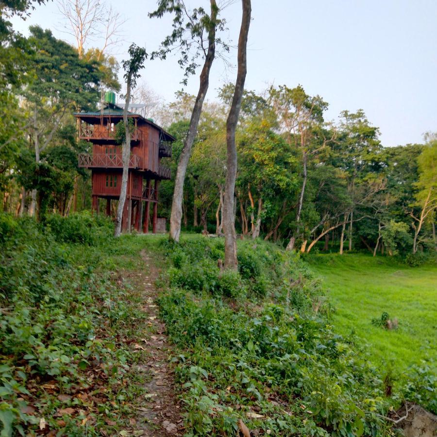 Hotel Tiger Tops Sauraha Eksteriør bilde