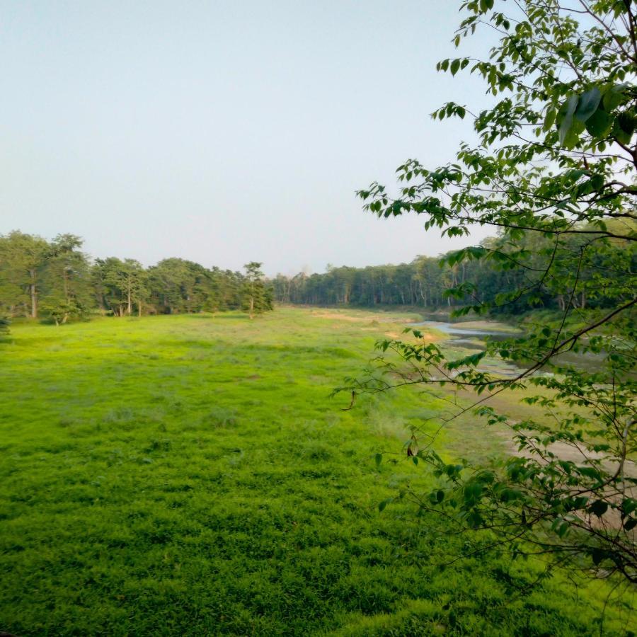 Hotel Tiger Tops Sauraha Eksteriør bilde