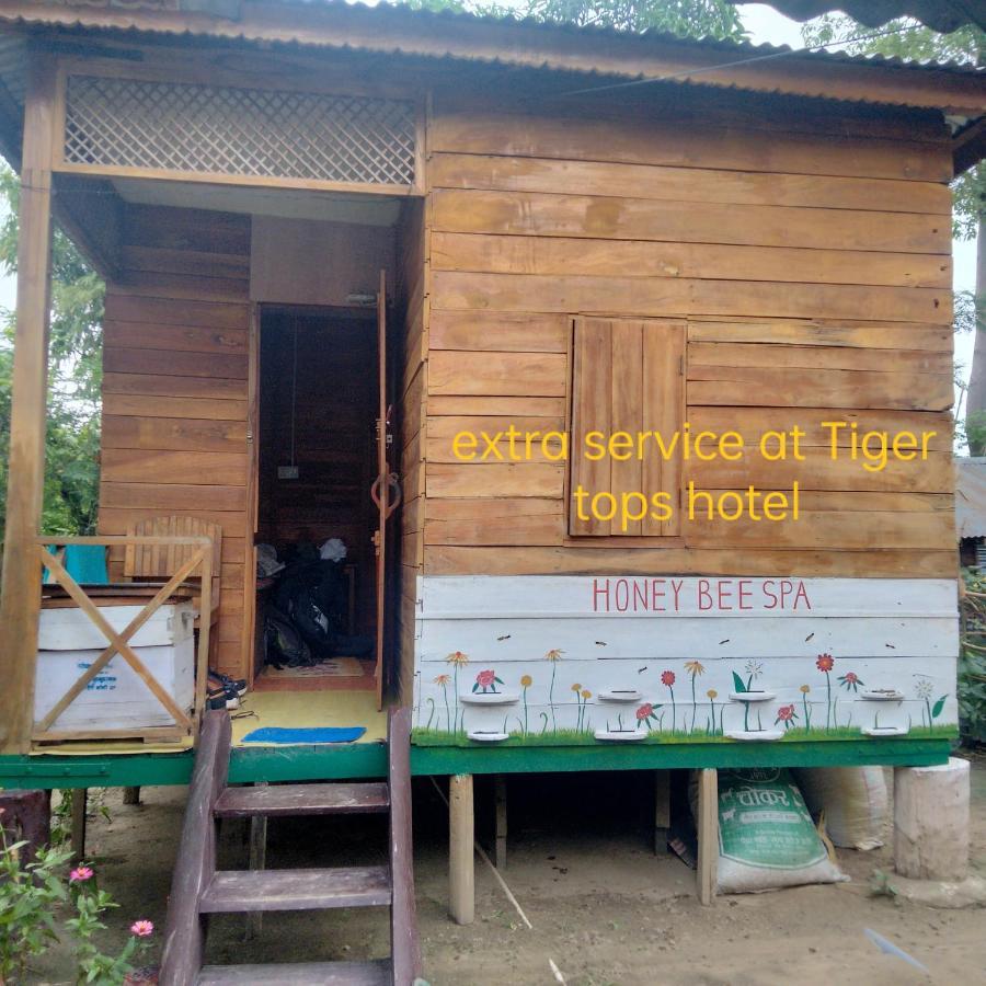 Hotel Tiger Tops Sauraha Eksteriør bilde