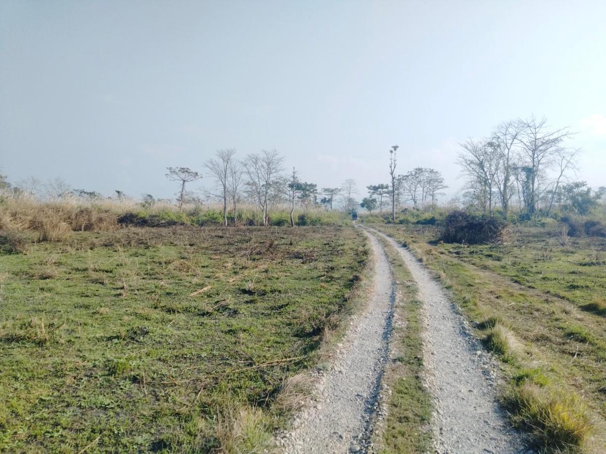 Hotel Tiger Tops Sauraha Eksteriør bilde