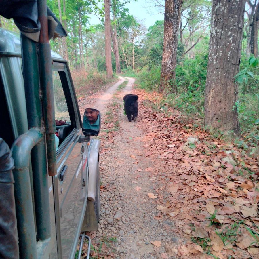 Hotel Tiger Tops Sauraha Eksteriør bilde