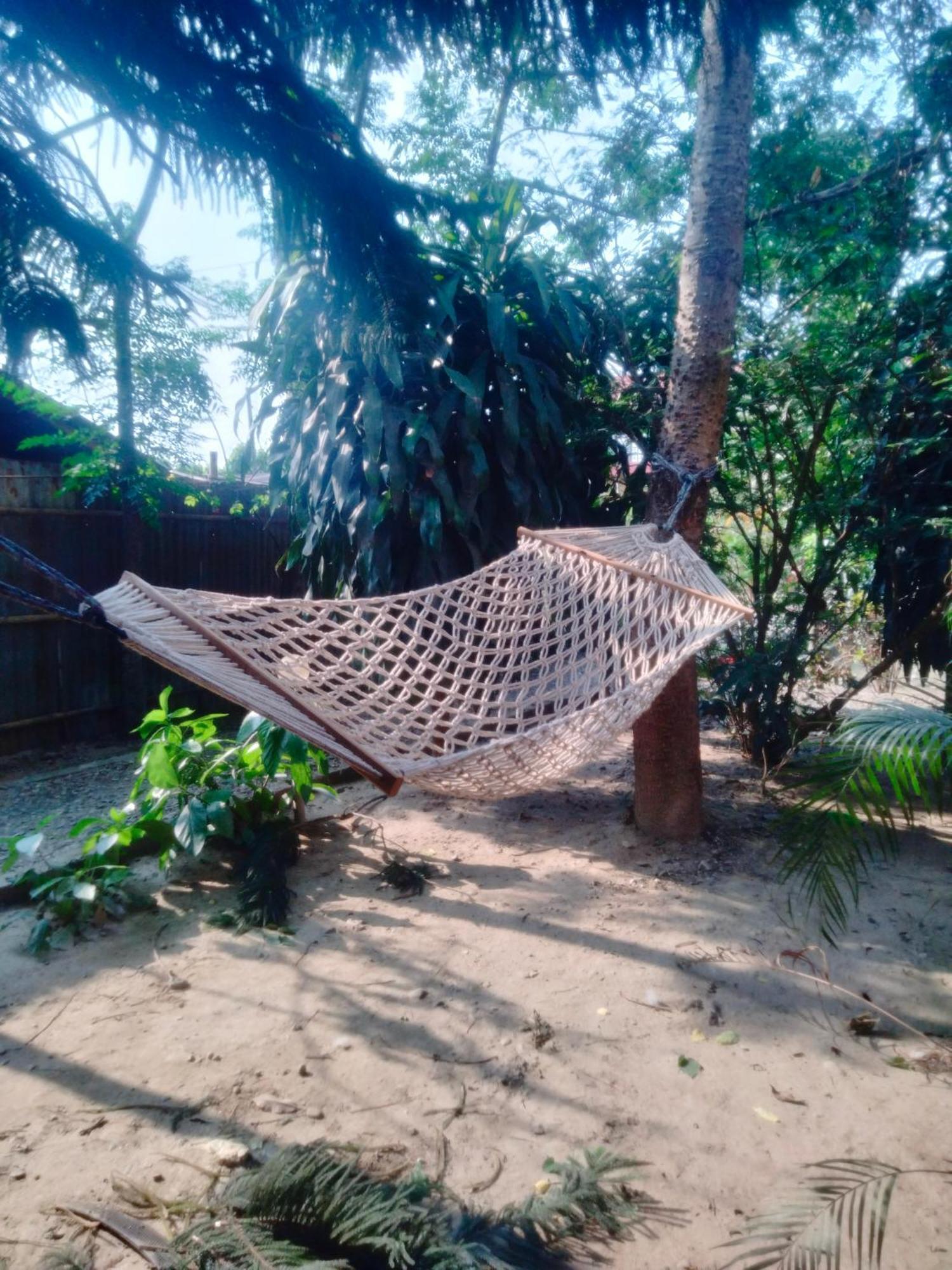 Hotel Tiger Tops Sauraha Eksteriør bilde