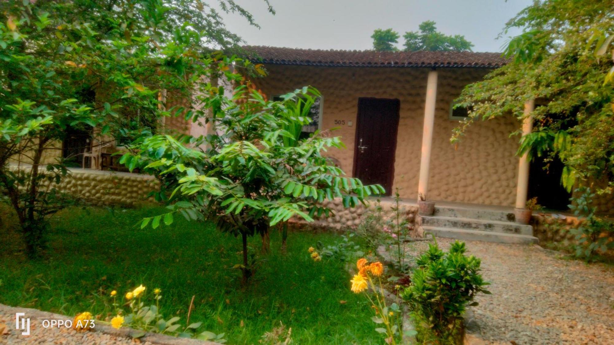 Hotel Tiger Tops Sauraha Rom bilde