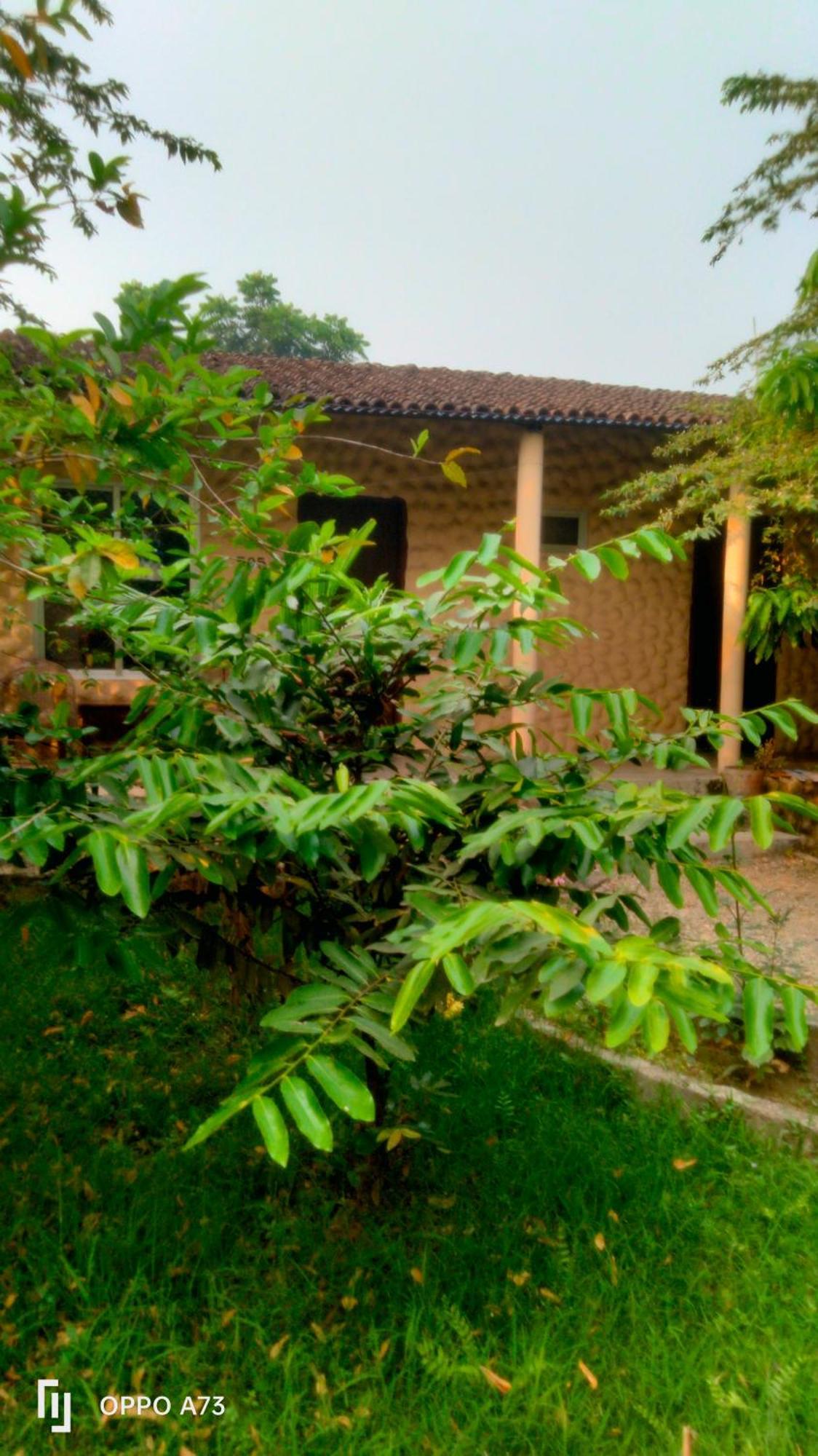 Hotel Tiger Tops Sauraha Rom bilde