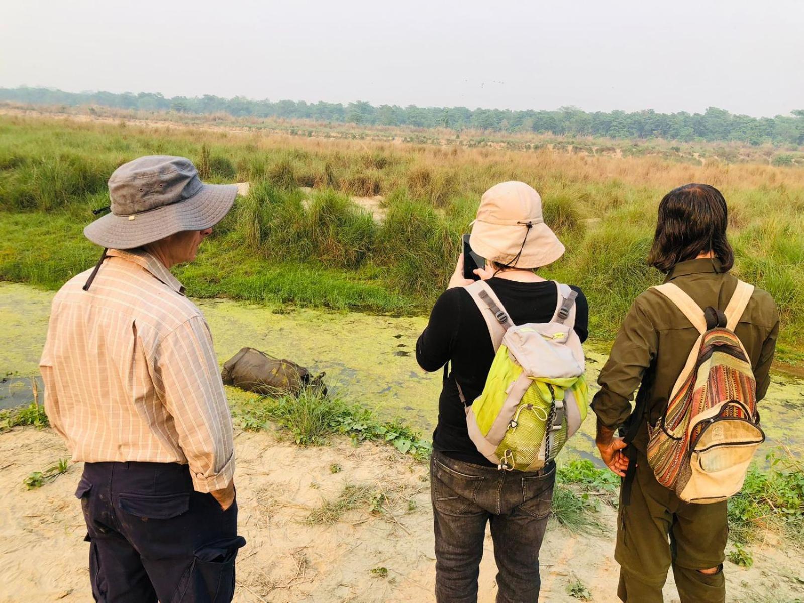 Hotel Tiger Tops Sauraha Eksteriør bilde