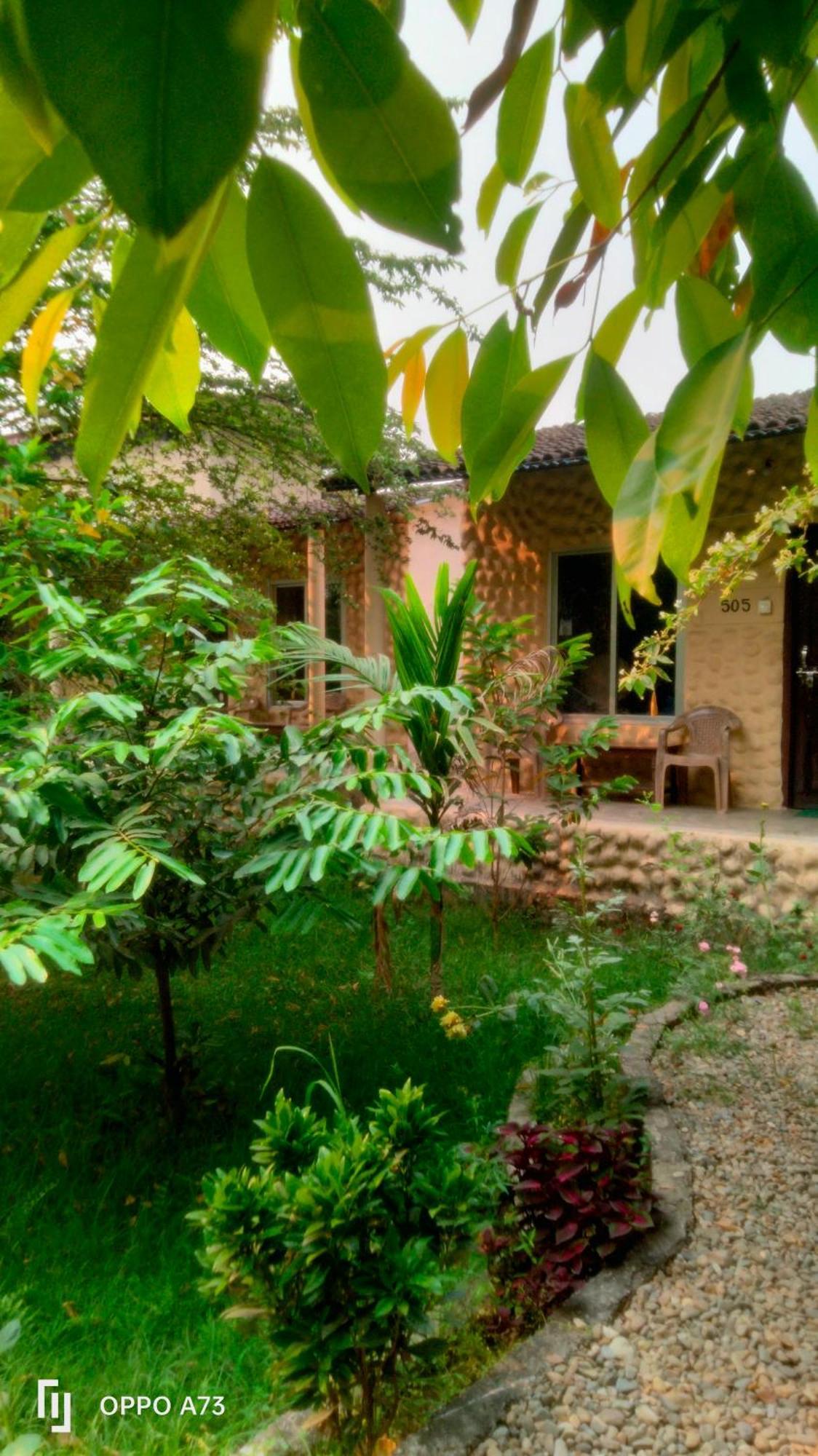 Hotel Tiger Tops Sauraha Rom bilde