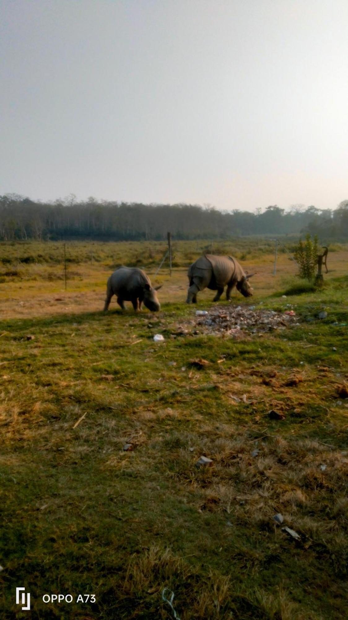 Hotel Tiger Tops Sauraha Eksteriør bilde