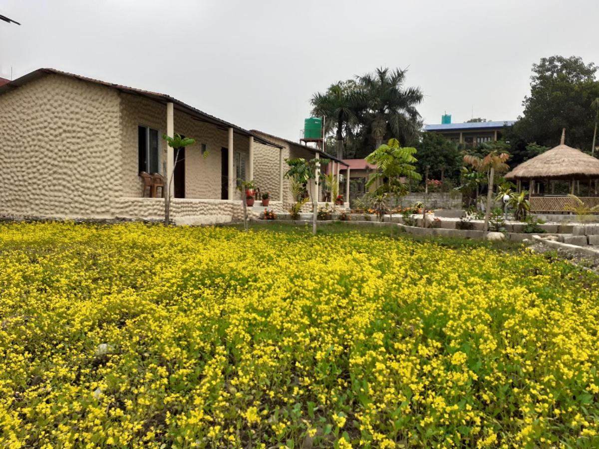 Hotel Tiger Tops Sauraha Eksteriør bilde